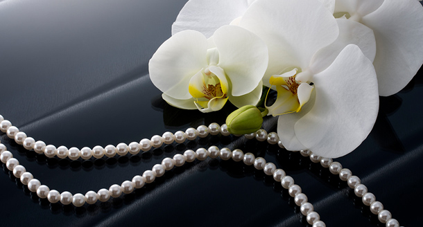 東京家族葬画像イメージ